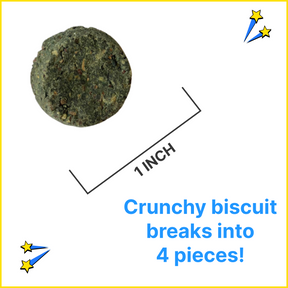 picture of a green vegan dog treat with a measurement showing it is 1 inches in diameter.