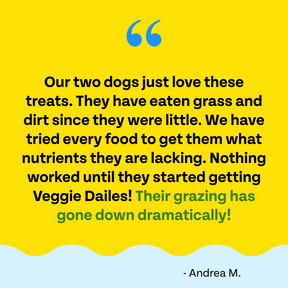 Quote from customer saying our two dogs just love these treats. They have eaten grass and dirt since they were little. We have tried every food to get them what nutrients they are lacking. Nothing worked until they started getting Veggie Dailies. 