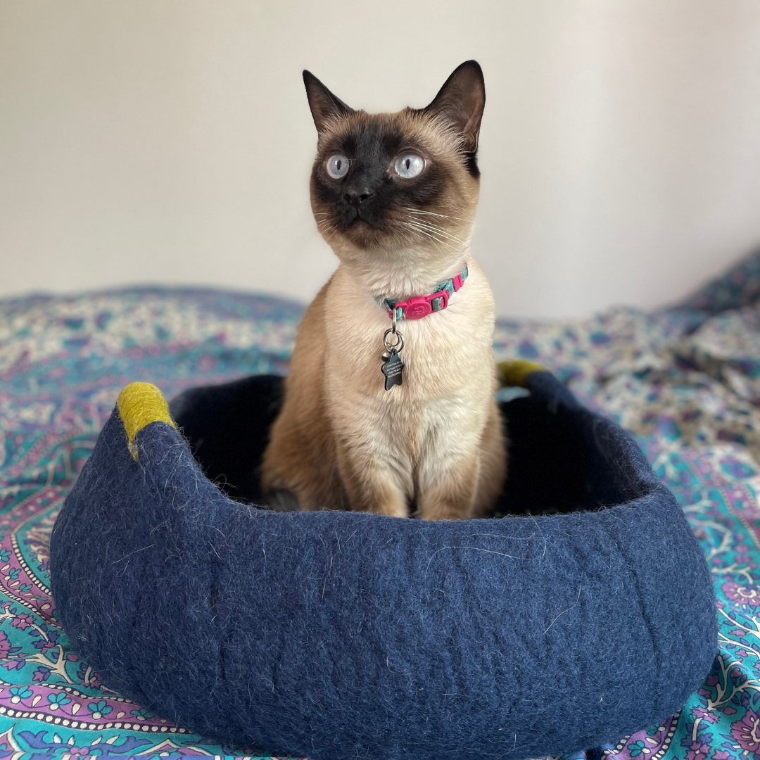 Cat inside Handmade Wool Cat Bed with Handles