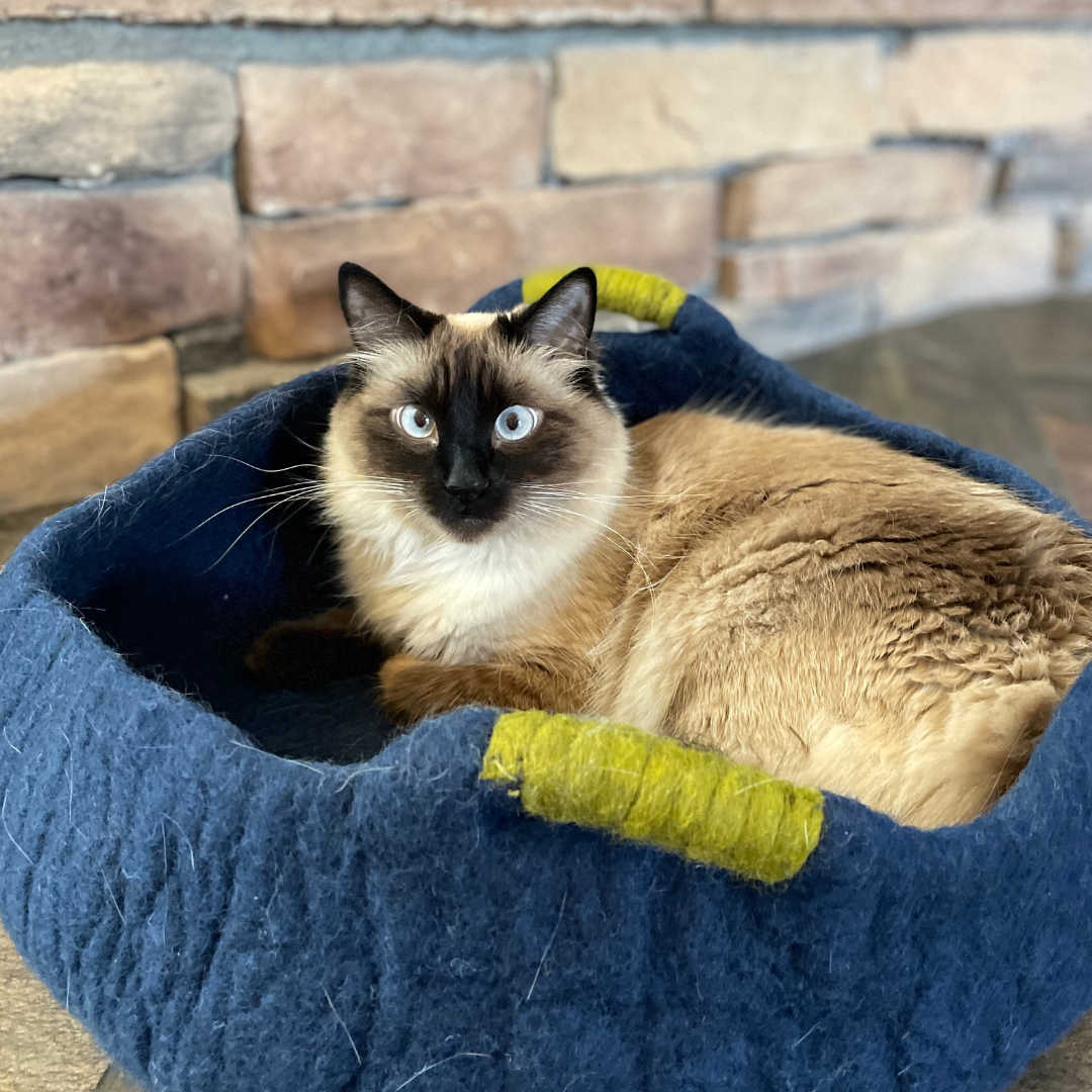 cat inside Handmade Wool Cat Bed with Handles