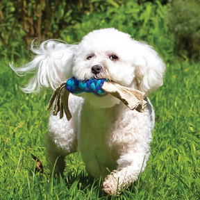 Dog running with Hemp Ribbon and Wool Dog Pull Toy, Blue & Turquoise toy