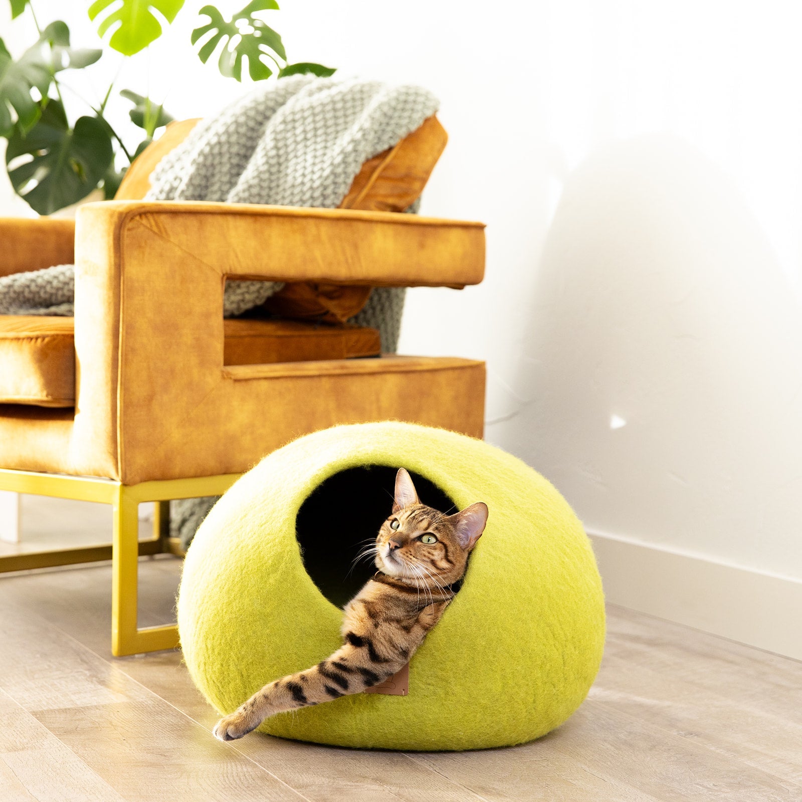 Organic Wool Cat Cave - Natural & Zero Waste
