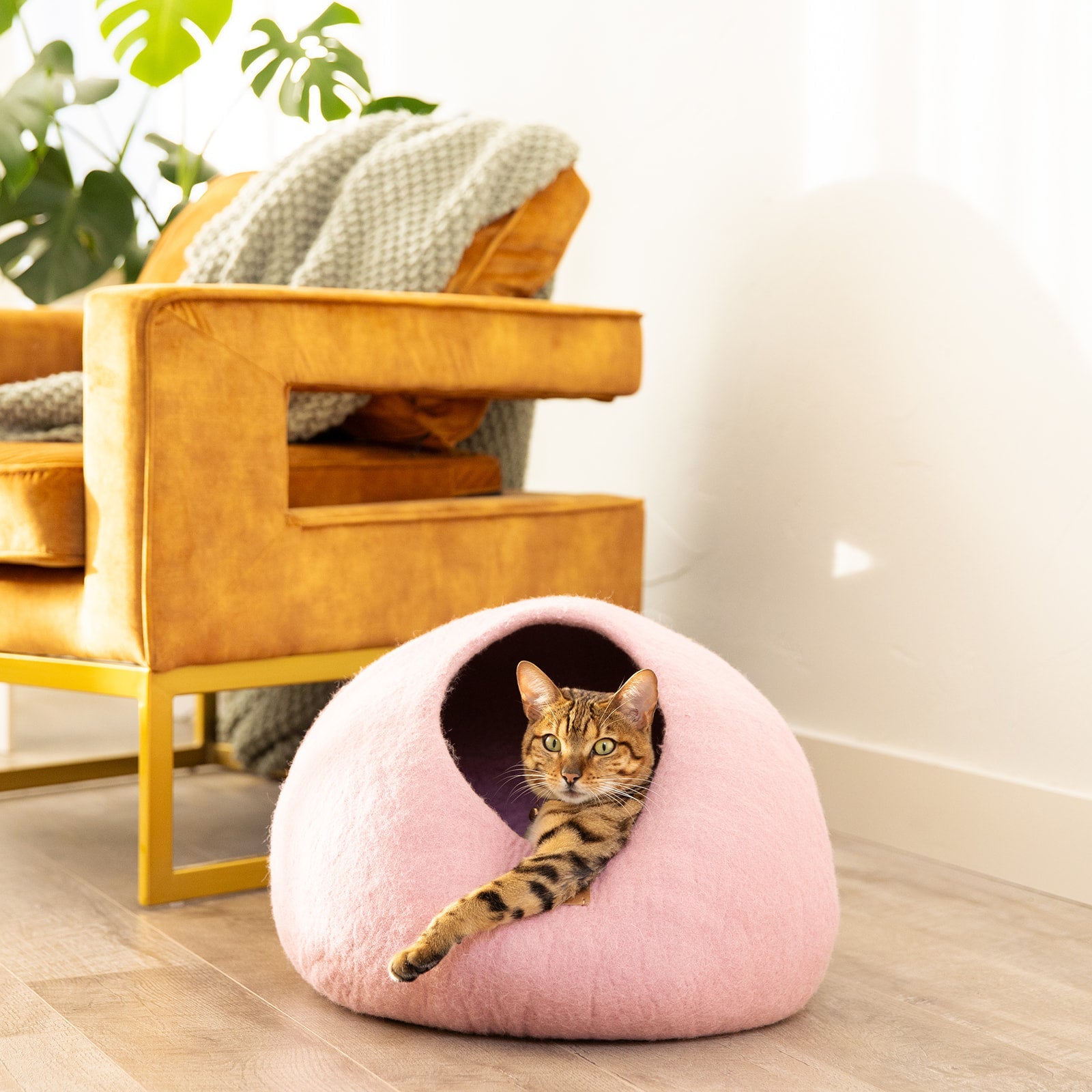 Organic Wool Cat Cave - Natural & Zero Waste