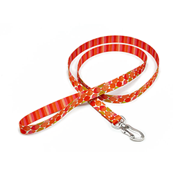 Dog leash with red and orange striped pattern on a white background