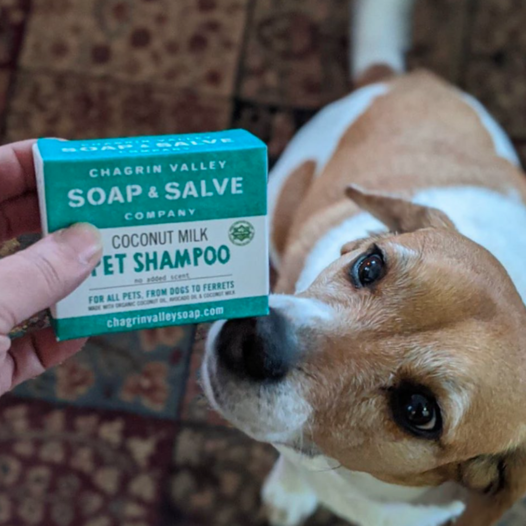 Natural Pet Shampoo Bar with Coconut Oil & Milk (For Dogs, Cats, Ferrets)