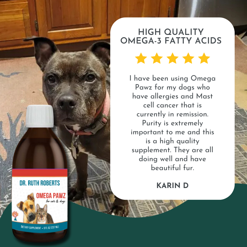 Dog with a bottle of Dr. Ruth Roberts Omega Pawz supplement and a testimonial card.