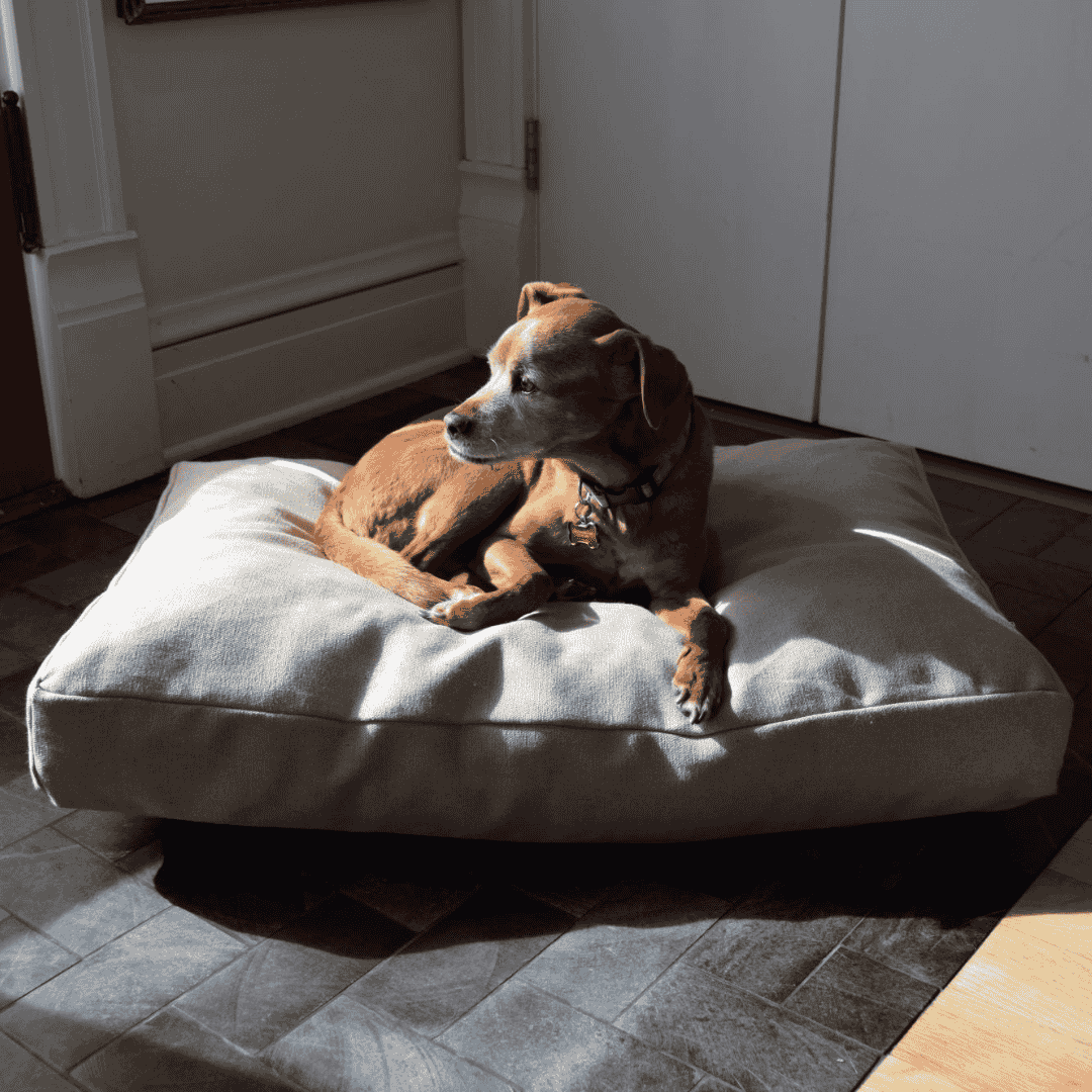 Organic Dog Bed - Hemp & Latex