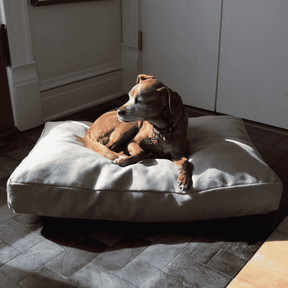 Organic Dog Bed - Hemp & Latex