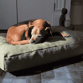 Organic Dog Bed - Hemp & Latex