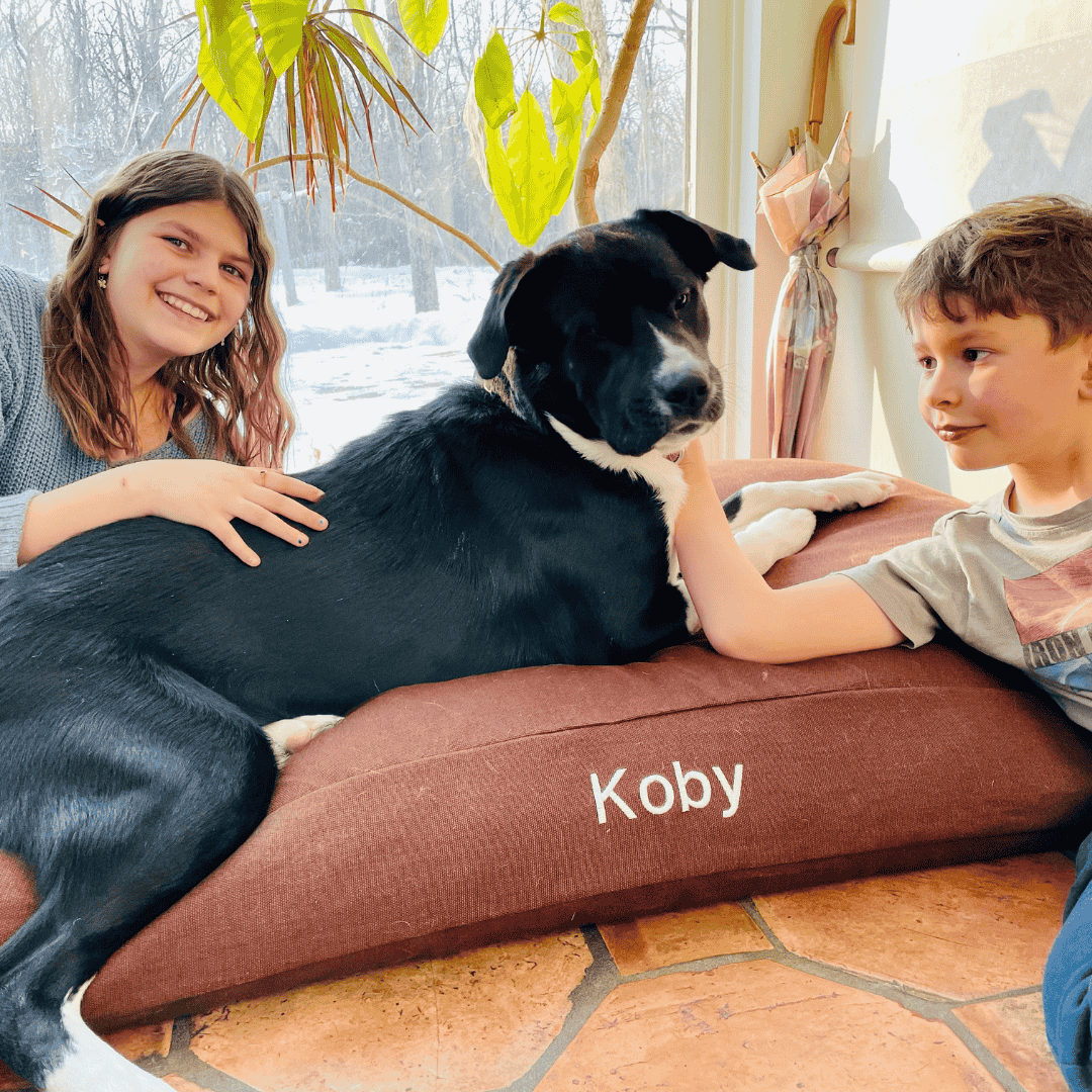 Organic Dog Bed - Hemp & Latex