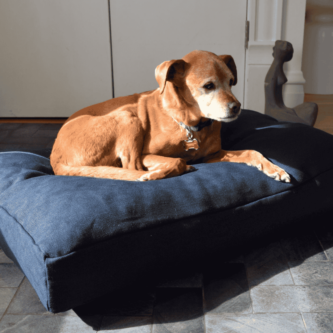 Organic Dog Bed - Hemp & Latex