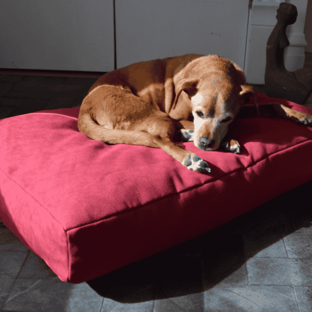 Organic Dog Bed - Hemp & Latex