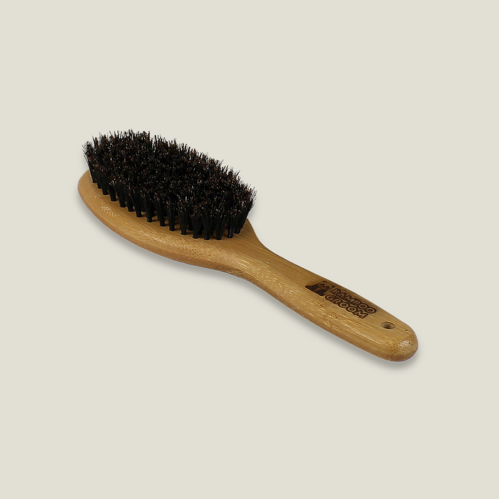 Oval Bristle Brush with Natural Boar Bristles