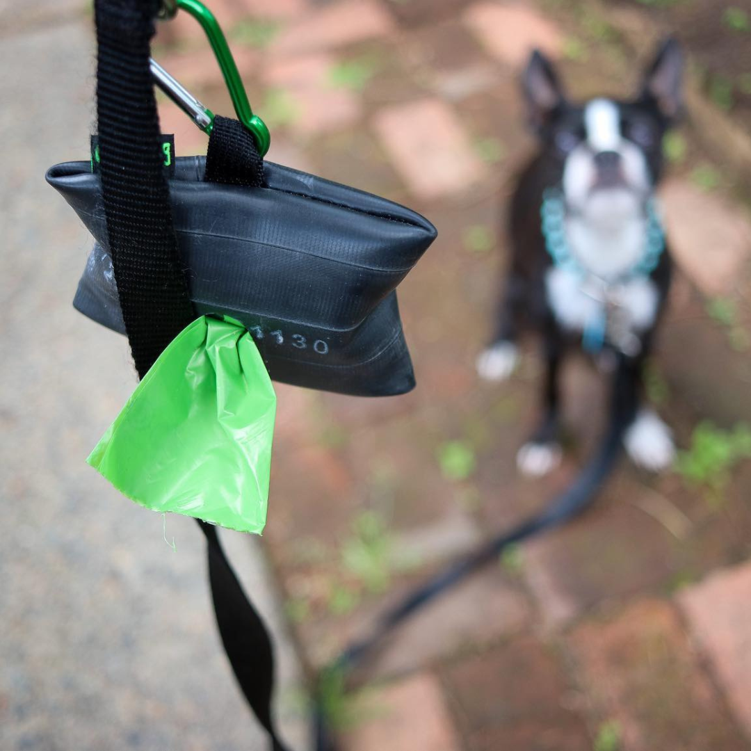 Rubber Dog Waste Holder with Bags