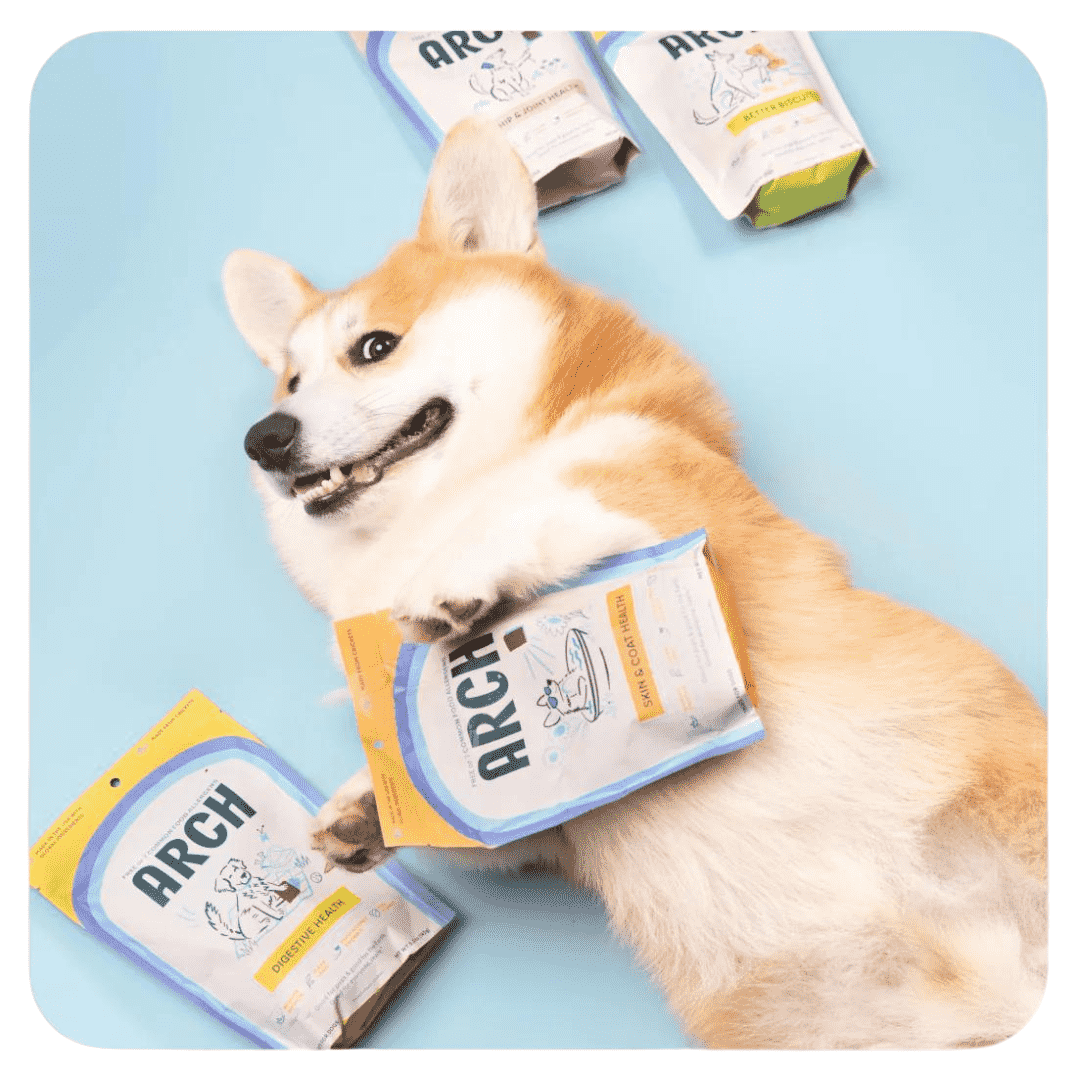 Skin and Coat Dog Treats with Cricket Protein