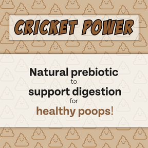 cricket powder: natural prebiotics to support digestion and healthy poops.