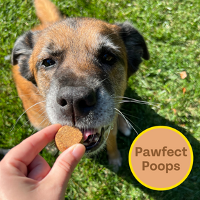 close up dog getting a treat and it says pawfect poops.