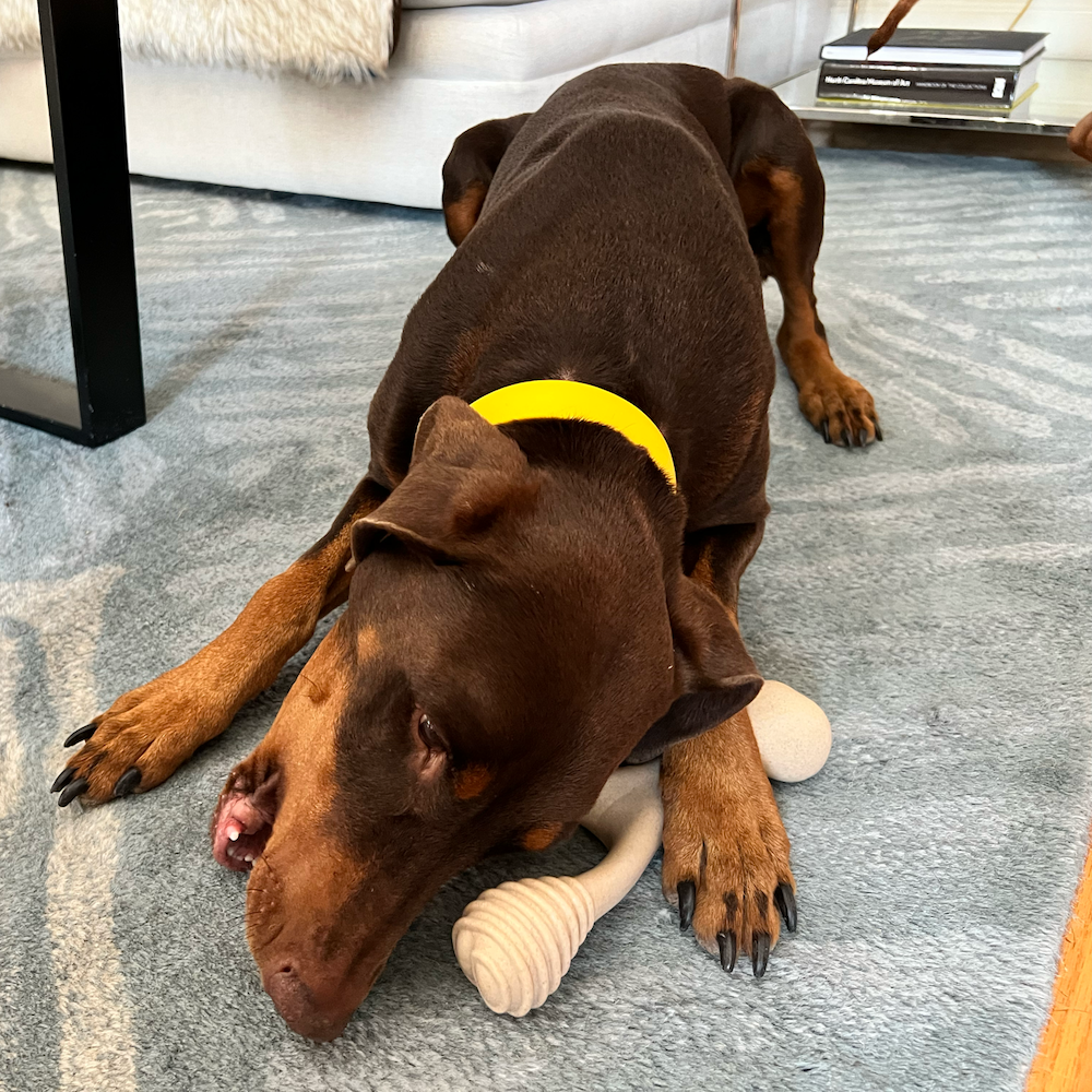 Bones for heavy chewers online