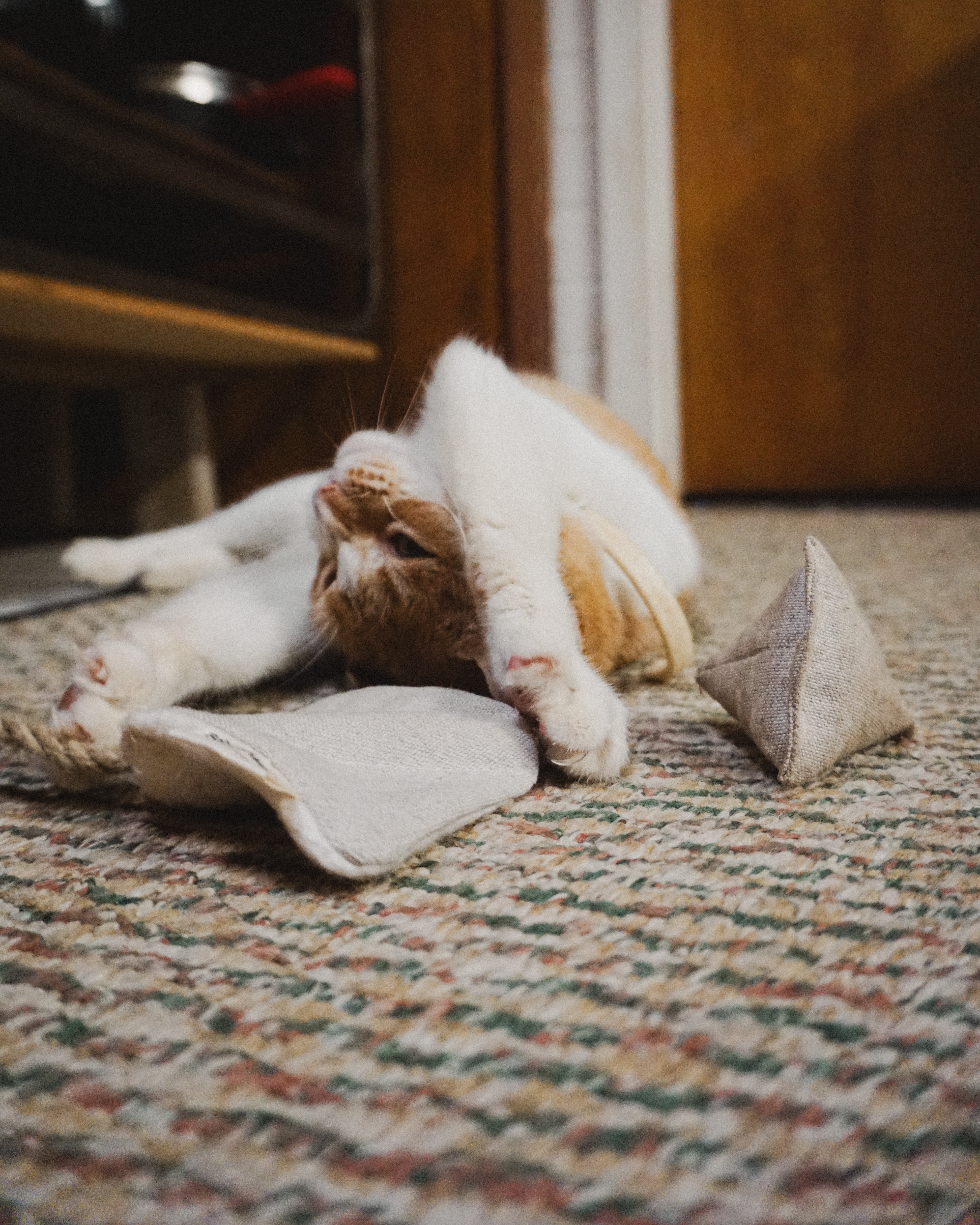 Boba & Vespa Crinkly Cat Toy Bundle in Natural Cotton and Hemp with Organic Catnip (+ Free Cat Litter Bag)