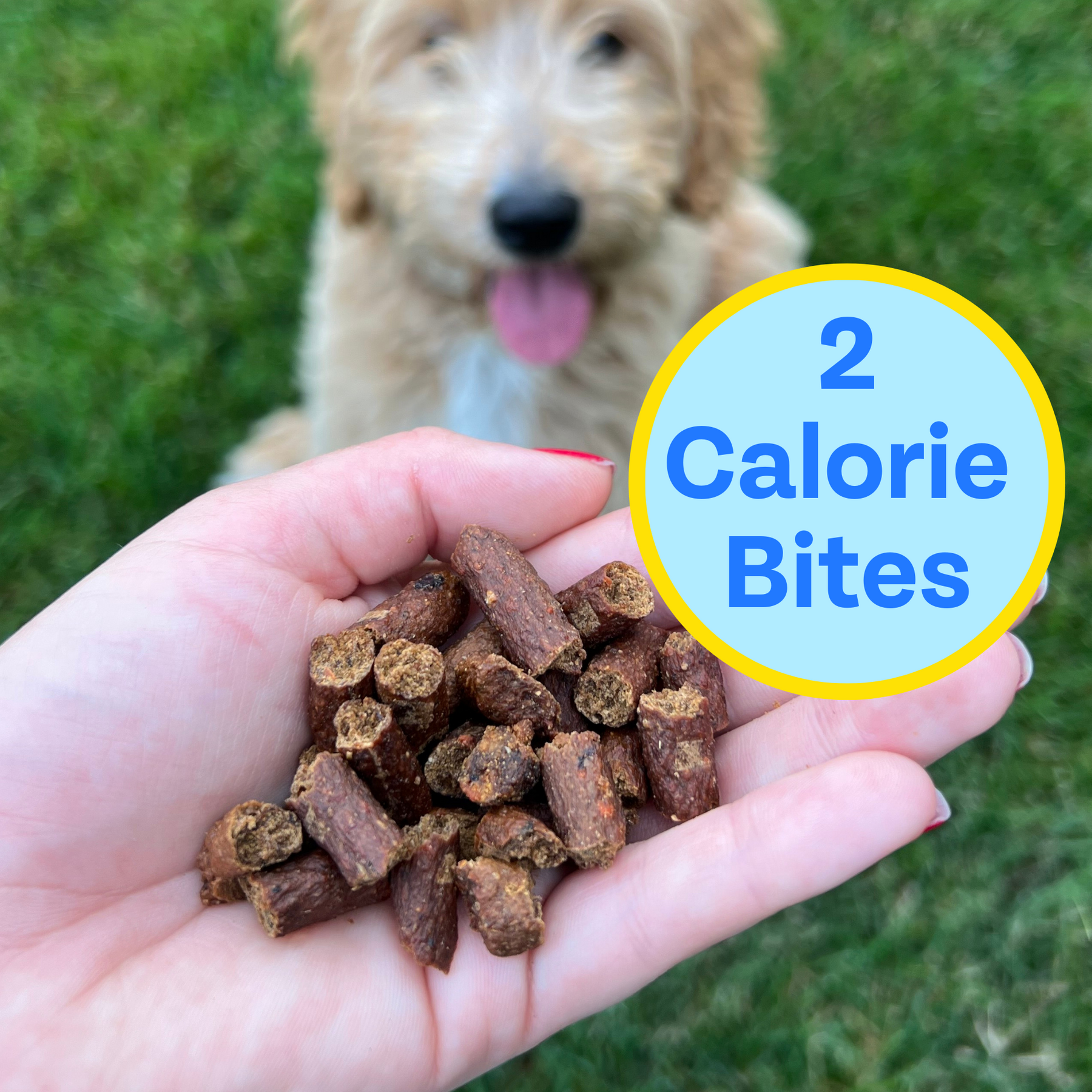 close up of the jerky treats and it says 2 calorie bites.