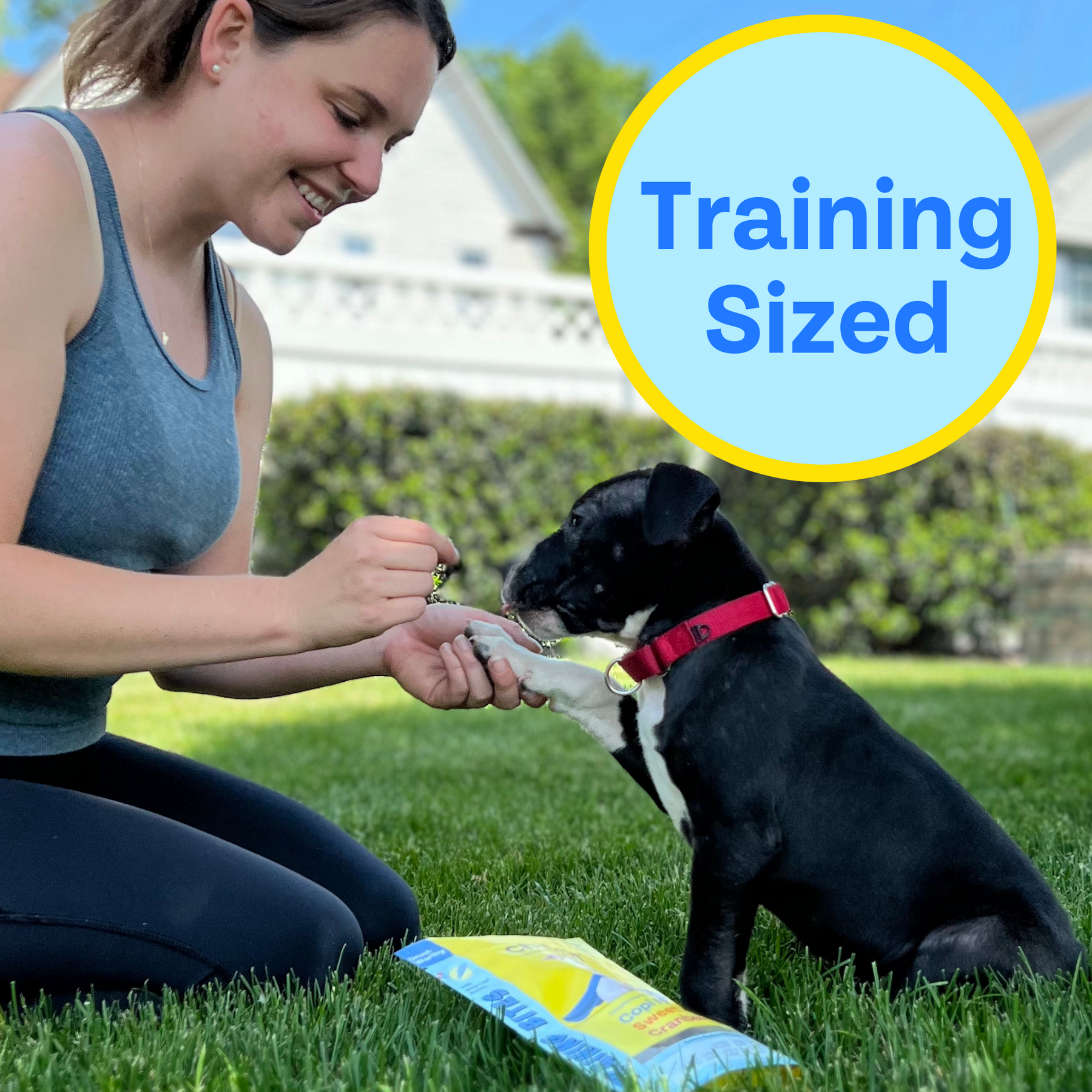 Puppy being trained by a woman on the lawy and the copy says training sized.
