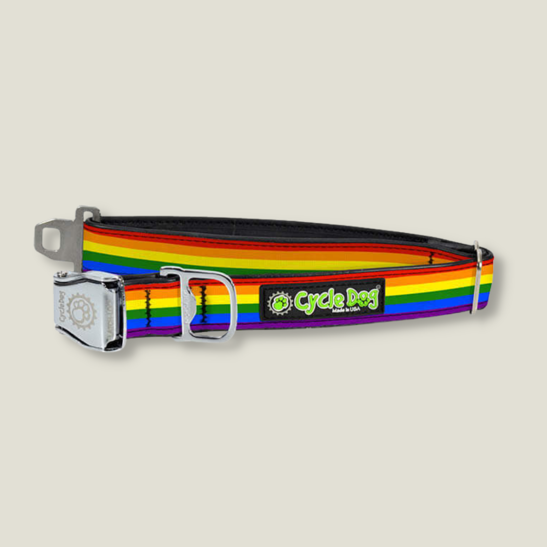 Upcycled Dog Collar rainbow