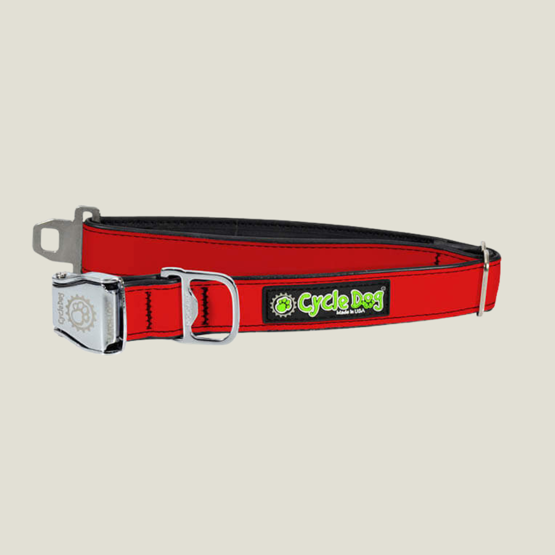 Upcycled Dog Collar red