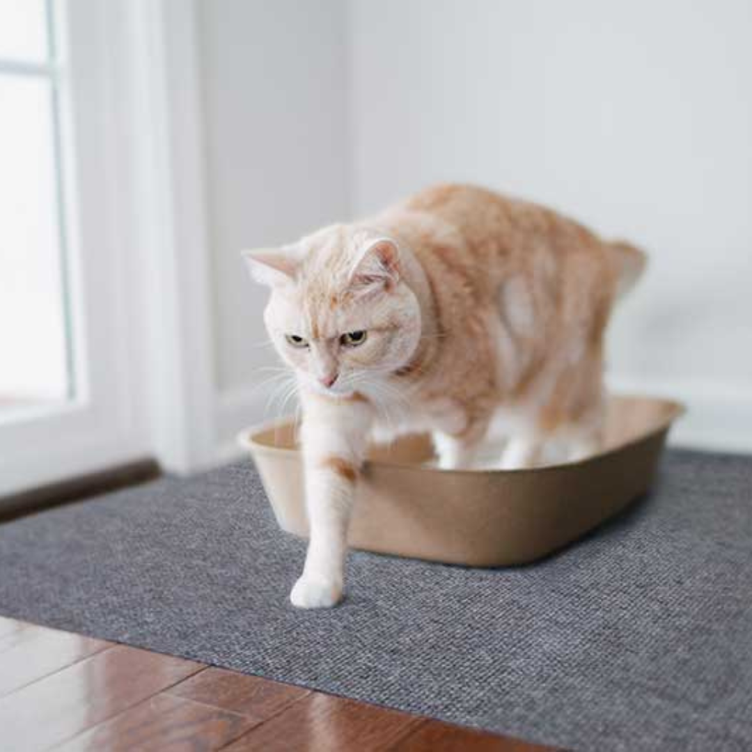Washable Cat Litter Mat