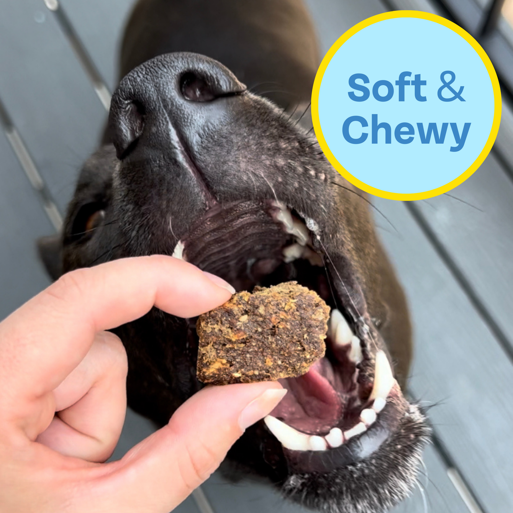 Close up of a dog about to take a bite of a dog jerky treat and it says soft and chewy.