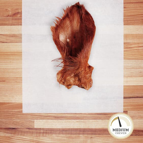 Brown hairy cow ear on parchment paper.