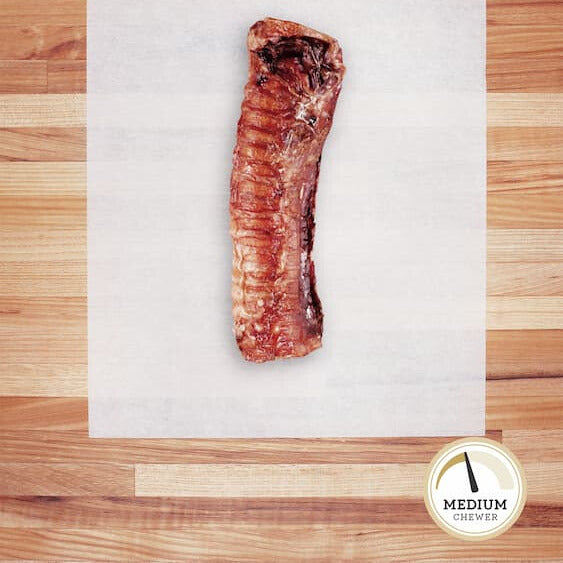Large piece of beef trachea laying on parchment paper.