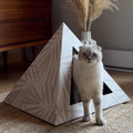 Cat standing next to a geometric pet bed with a vase of dried plants in the background.
