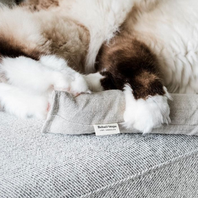 Best time of your cat's life. Gorgeous Himalayan cat pawing at the hemp organic catnip toy.