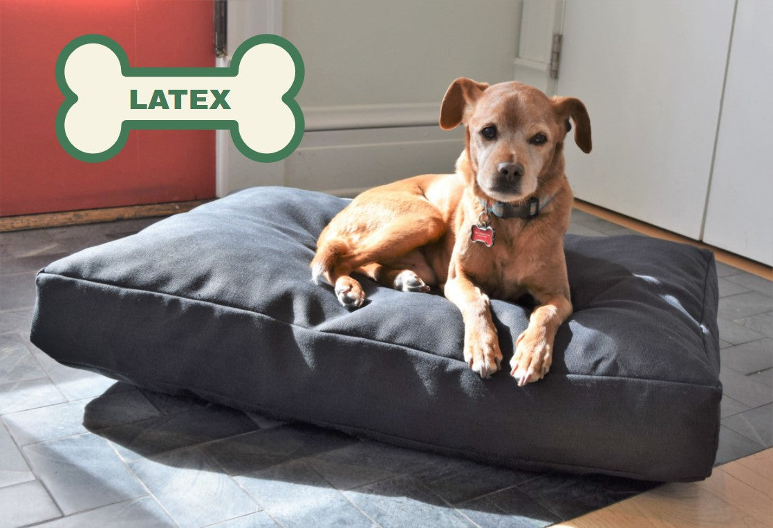 Organic Dog Bed - Hemp & Latex