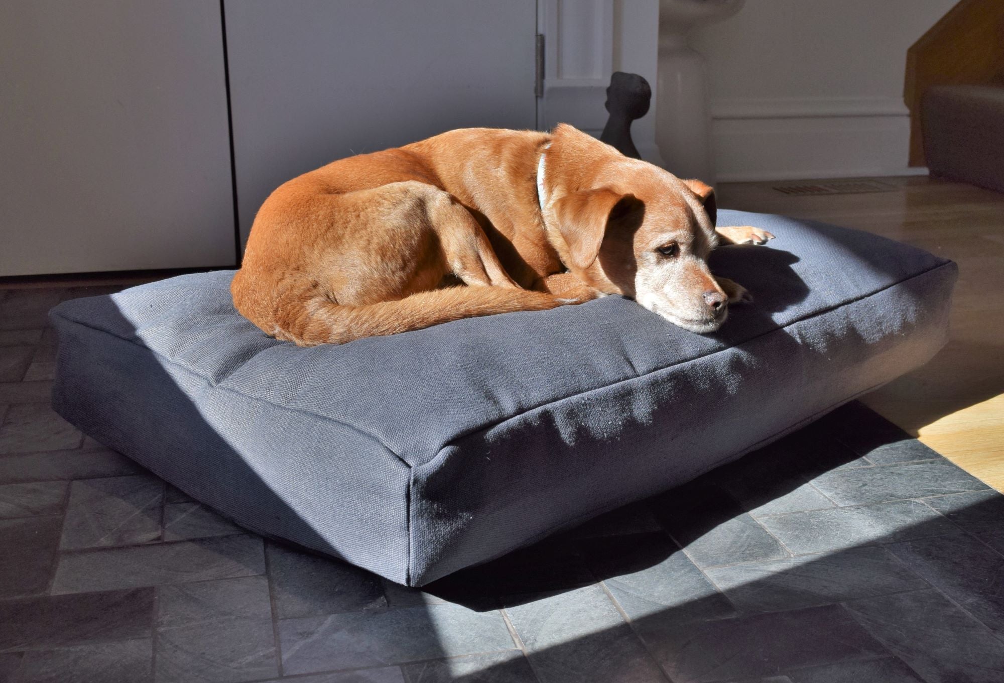 Organic Dog Bed - Hemp & Latex