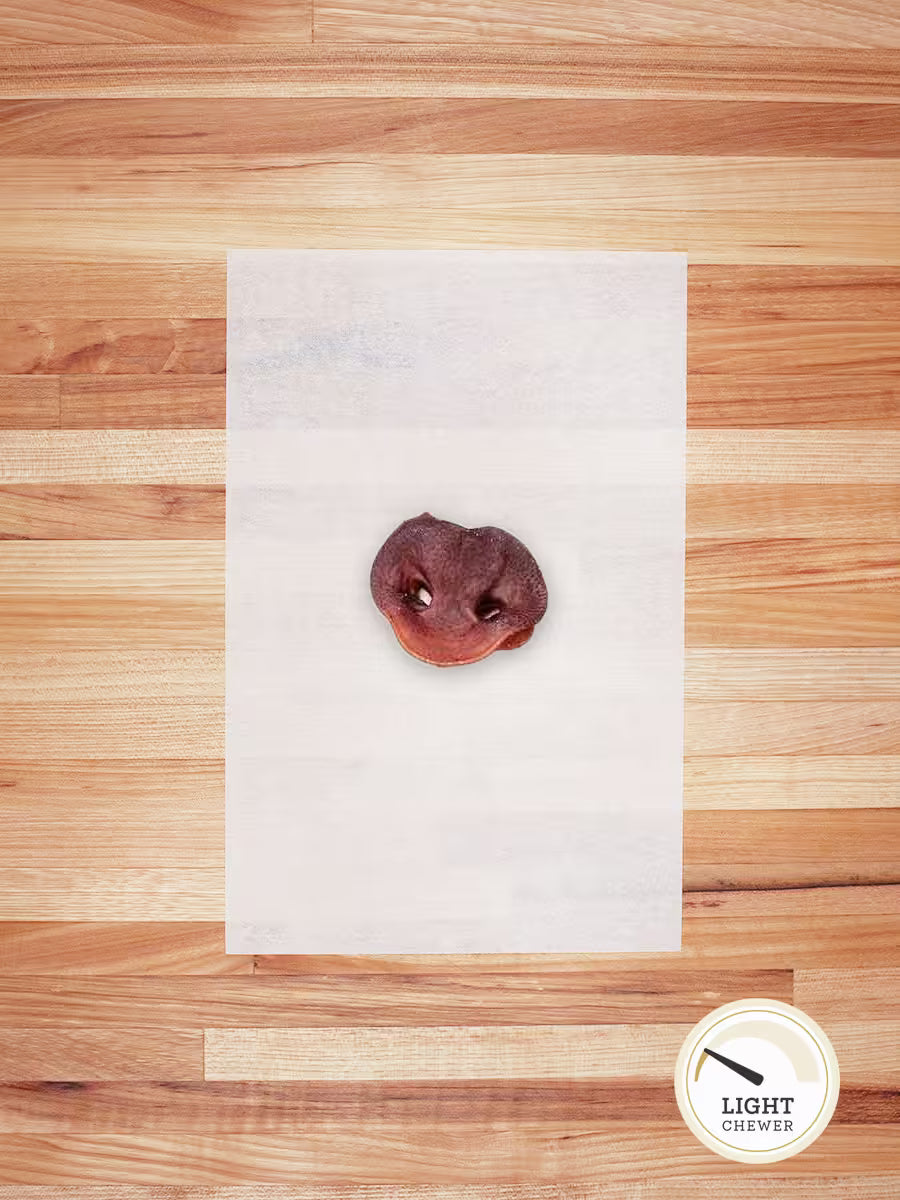 Dehydrated Hog Snout - Single