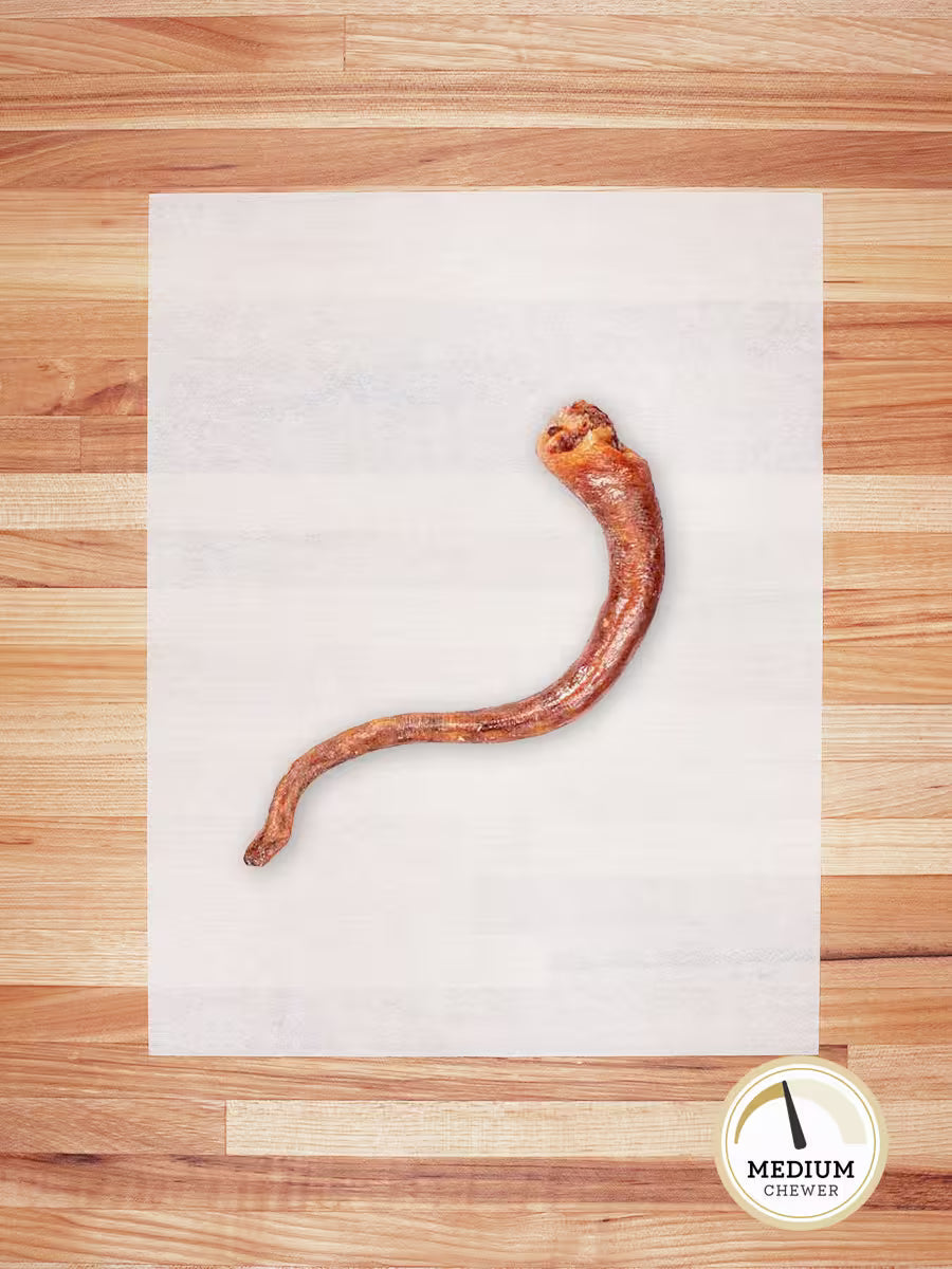 Dehydrated Hog Tail - Single