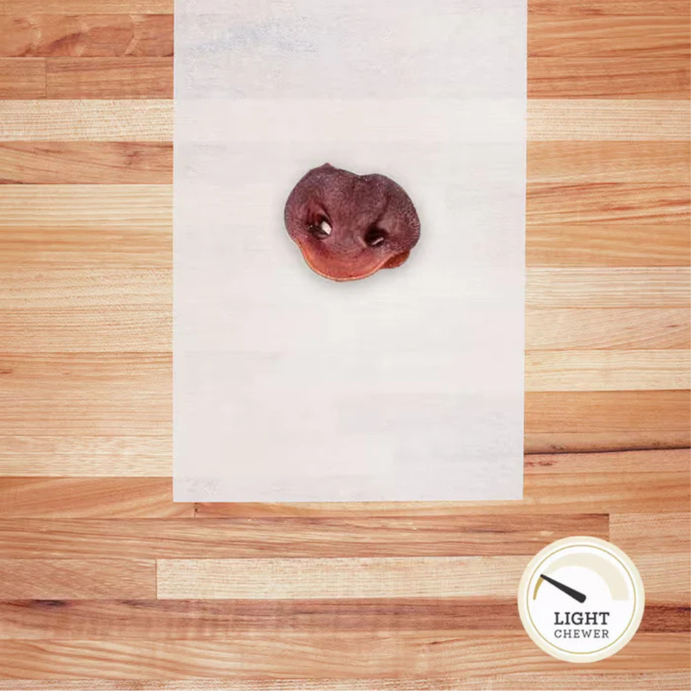 Dehydrated hog snout on parchment paper.