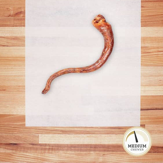 Dehydrated hogtail on parchment paper.