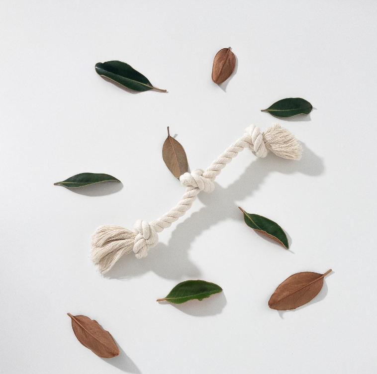 Organic Cotton Rope Dog Toy on leaves
