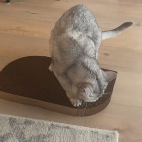 Cardboard Cat Scratcher