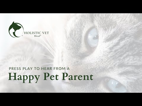 Holistic vet blend video