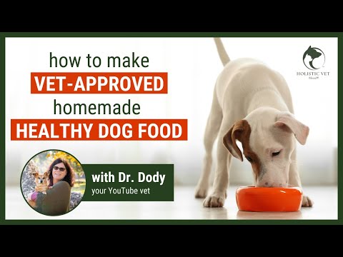 Vet Approved Is Homemade Dog Food Better HVB Dog Food Premix