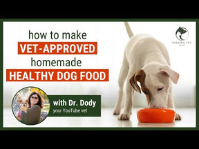 Homemade and Healthy Dog Food Recipe video 