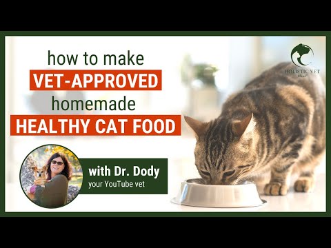 Homemade and healthy cat food recipe video
