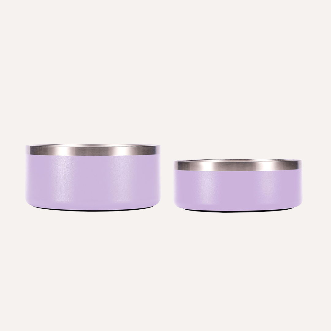 Stainless Steel Dog Bowl | Non-Slip Food & Water Bowl