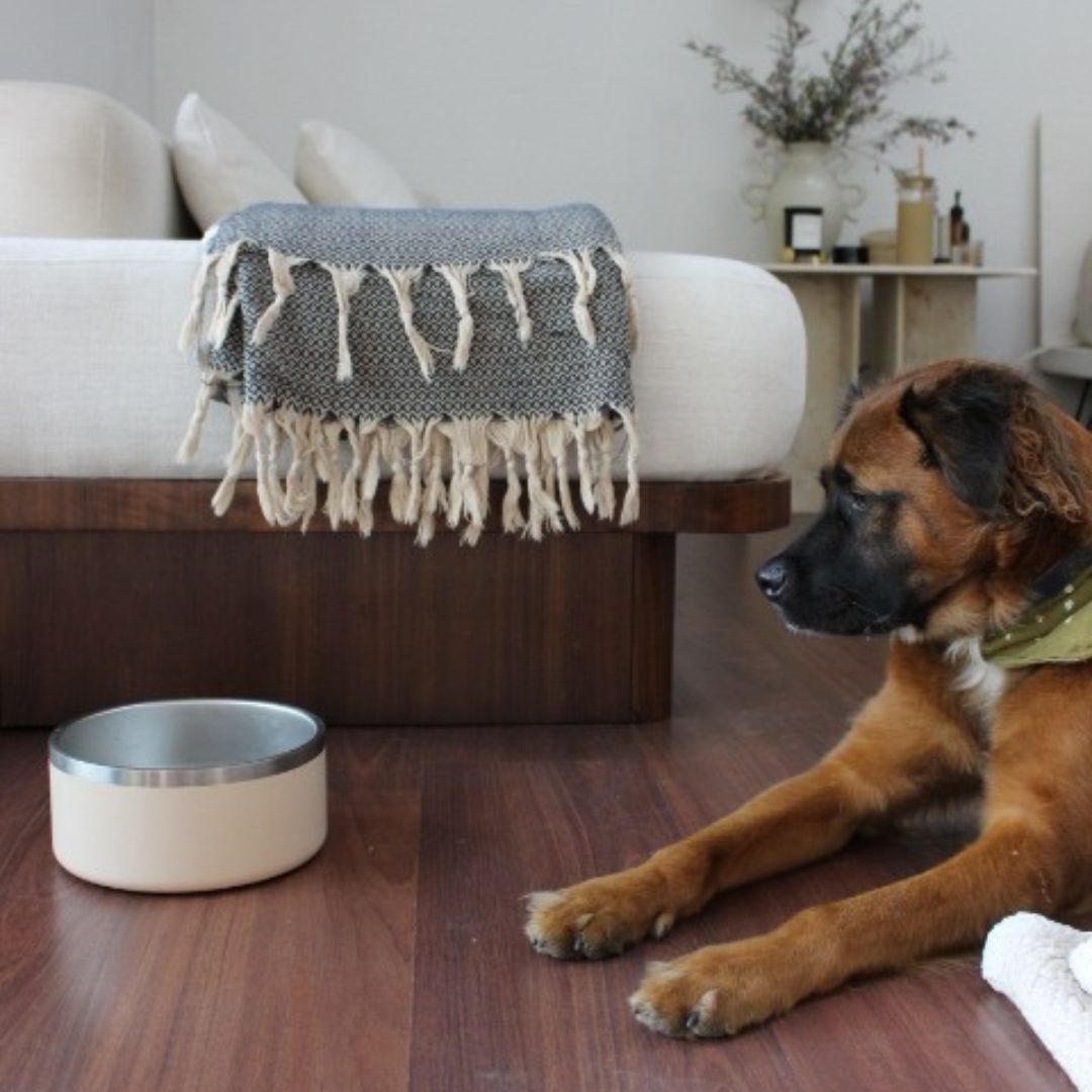 Stainless Steel Dog Bowl | Non-Slip Food & Water Bowl