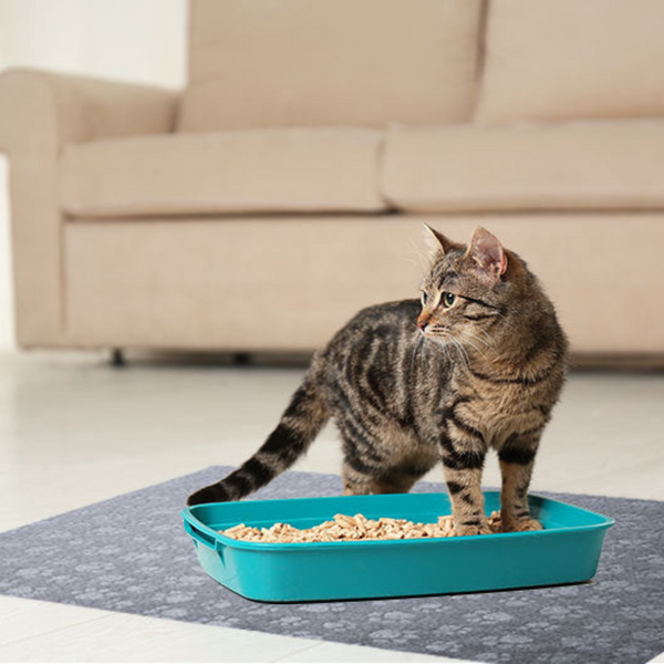 Washable Cat Litter Mat