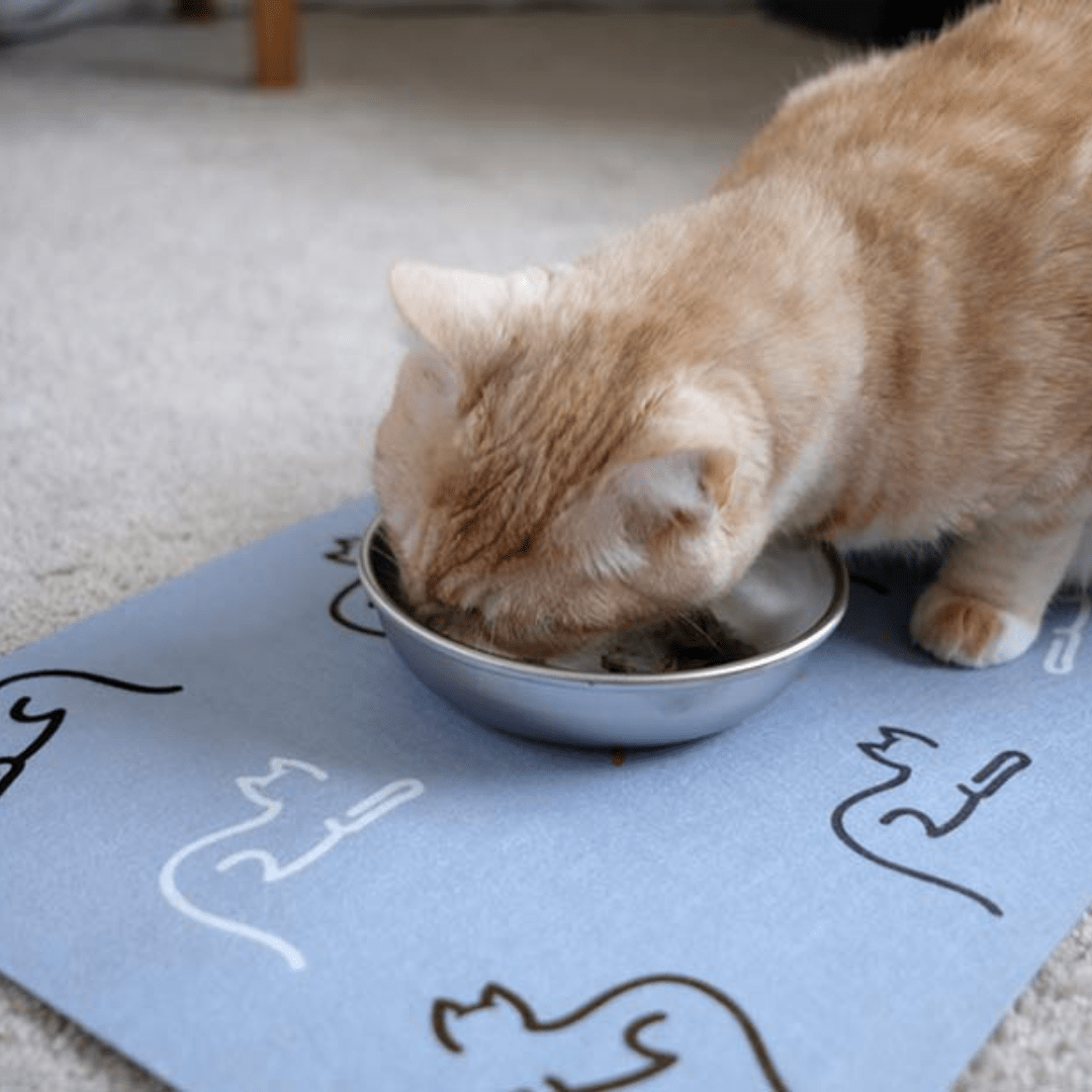 Eco Friendly Cat Food Mat with Cat eating out of food bowl