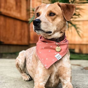 Handmade cotton dog bandana - cut dog with bandana